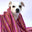 Lola My Love logo